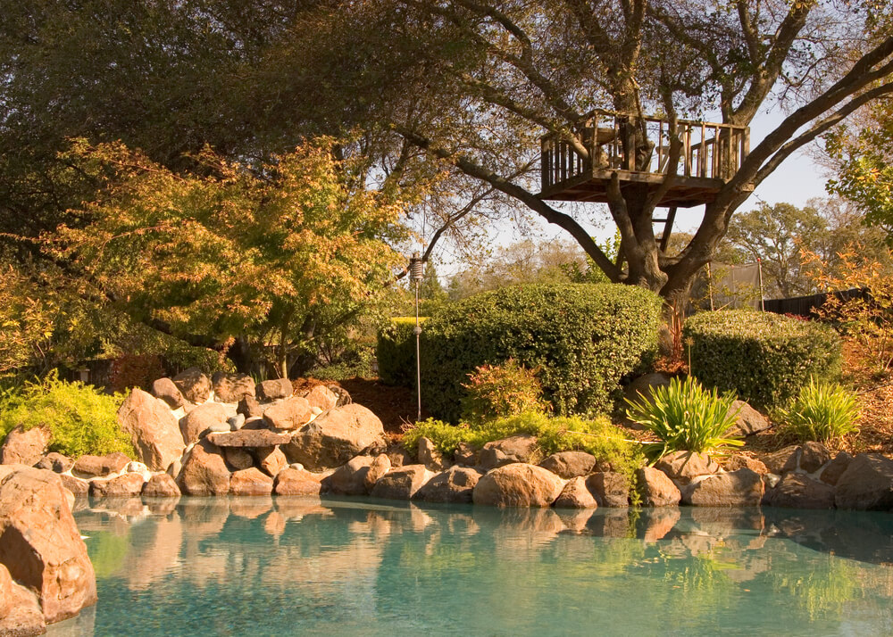 Backyard pool surrounded by gardens and tree fort. Backyard pool surrounded by gardens and tree fort.