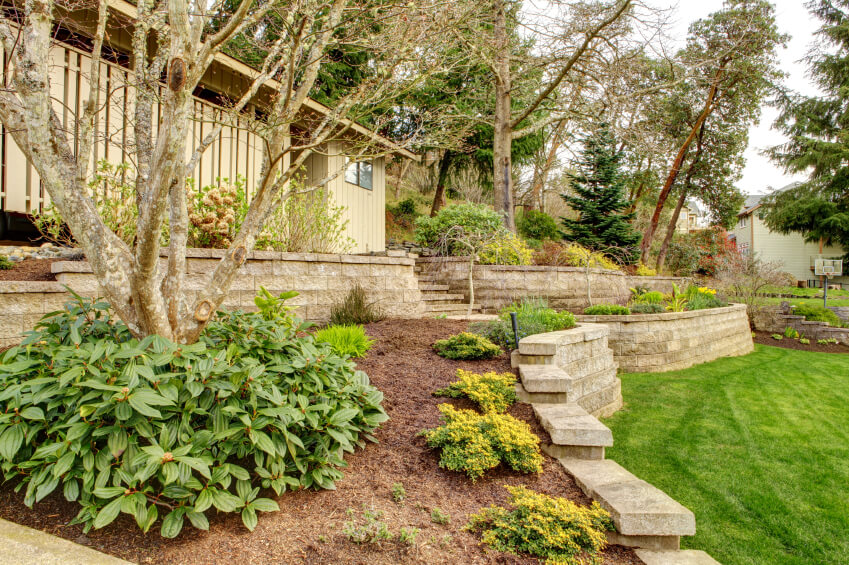 contemporary home with terraced landscaping on either side of the 