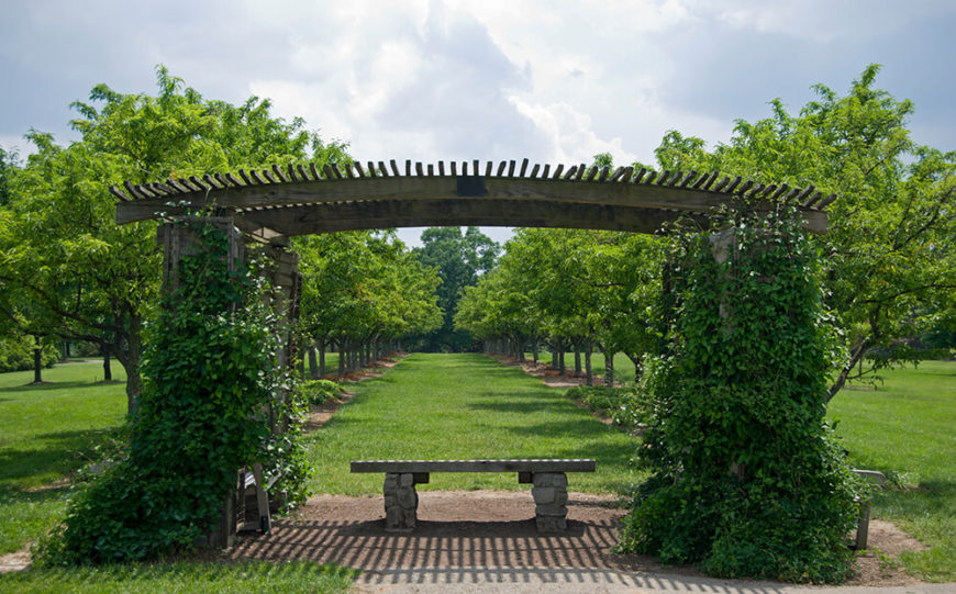 41 Incredibly Beautiful Backyard Pergolas 41 Incredibly Beautiful Backyard Pergolas