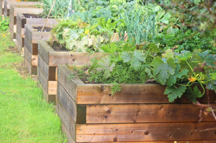 Inexpensive Raised Garden Bed Ideas Simple And Cool Raised Garden Bed Design Here Are Series Of Inexpensive Raised Garden Bed Ideas Simple And Cool Raised Garden Bed Design Here Are Series Of