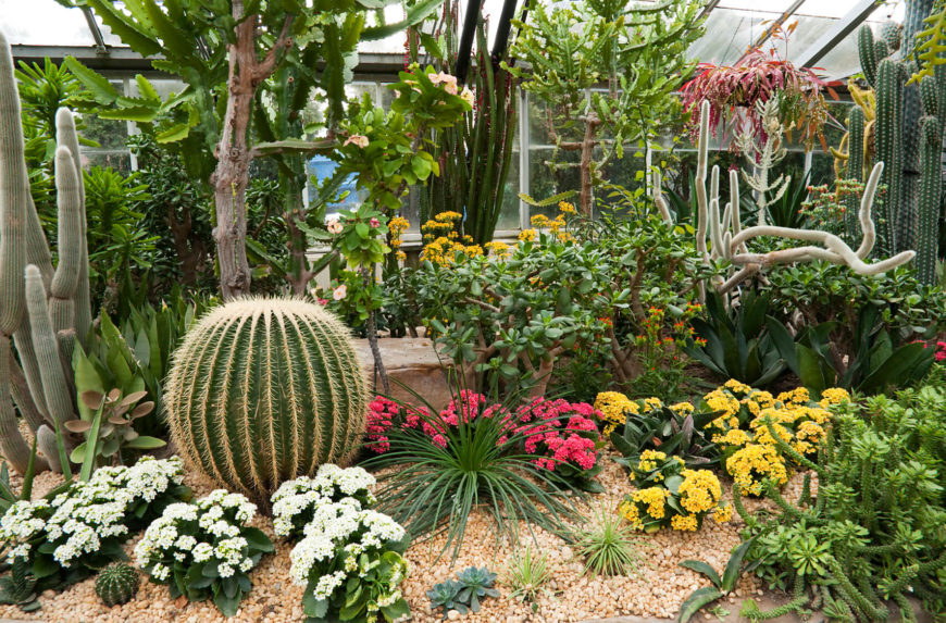 34 sharp cactus garden ideas 34 sharp cactus garden ideas