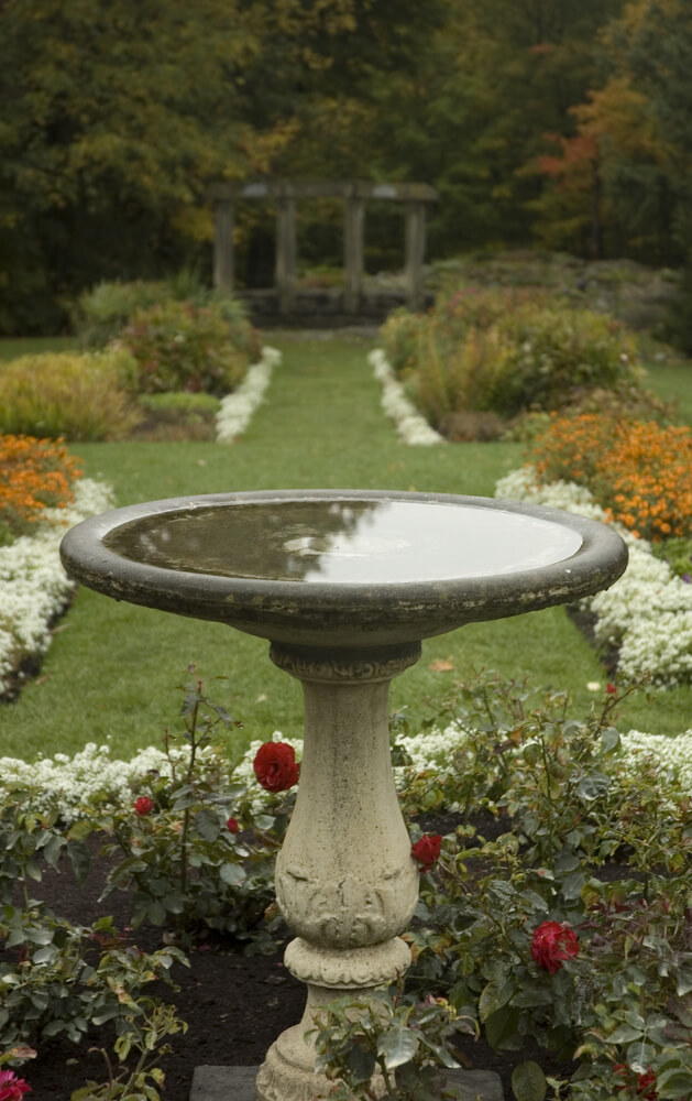 46 Splashy Bird Baths