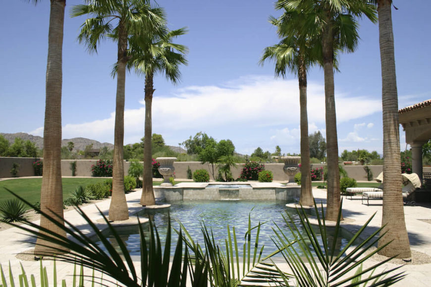 30 Spectacular Backyard Palm Tree Ideas Home Stratosphere