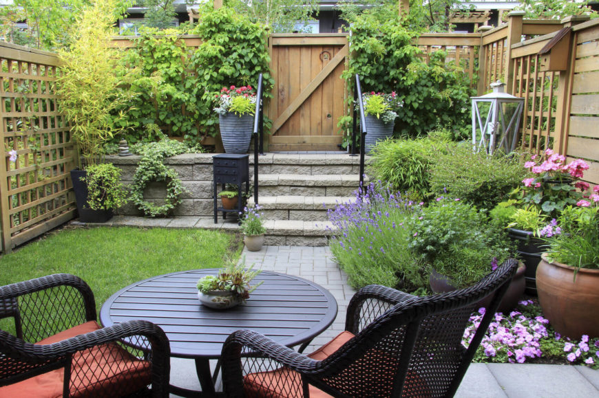 Small Garden Ideas if you have plenty of ideas but cannot decide on which one to go with This Yard May Be Small But It Holds A Number Of Amazing Plants The Small Small Garden Ideas small garden big interest eric sternfels homeowner philadelphia pa This Yard May Be Small But It Holds A Number Of Amazing Plants The Small