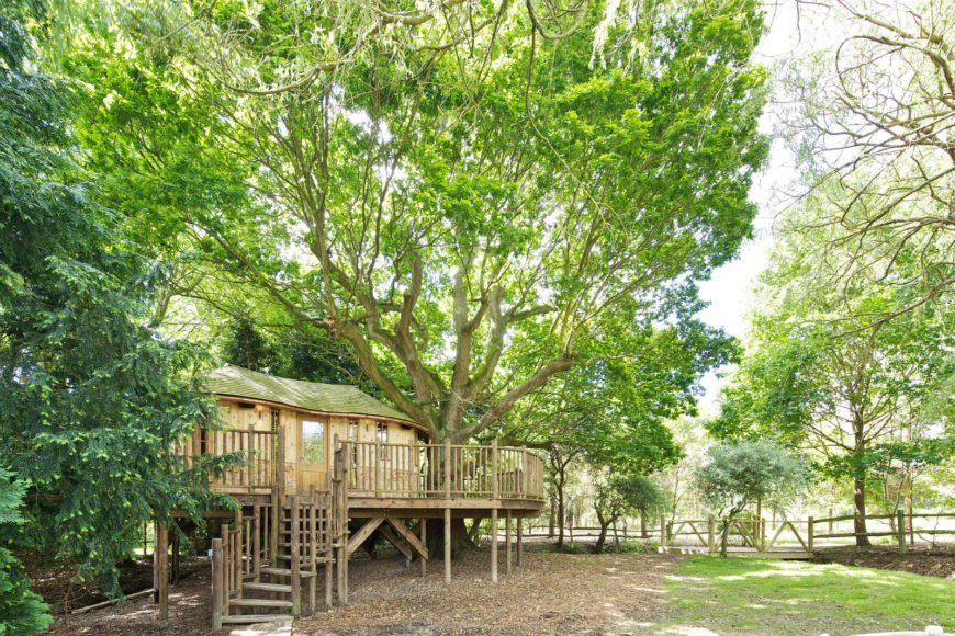 This view up the stairs to the front door of the treehouse, showcasing the gorgeous mature oak it's built around. This view up the stairs to the front door of the treehouse, showcasing the gorgeous mature oak it's built around.