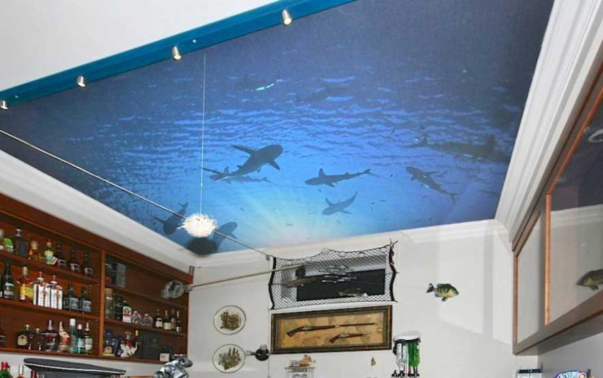21 Inspiring Custom Photo Ceilings by CEILTRIM Inc.