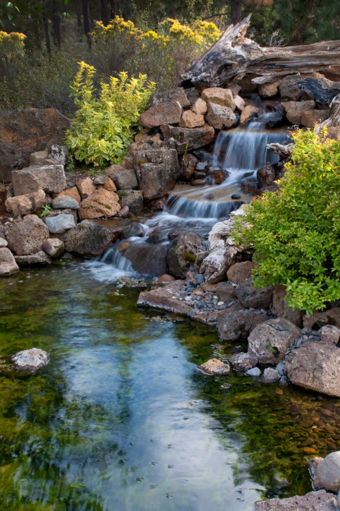 37 Backyard Pond Ideas  Designs Pictures