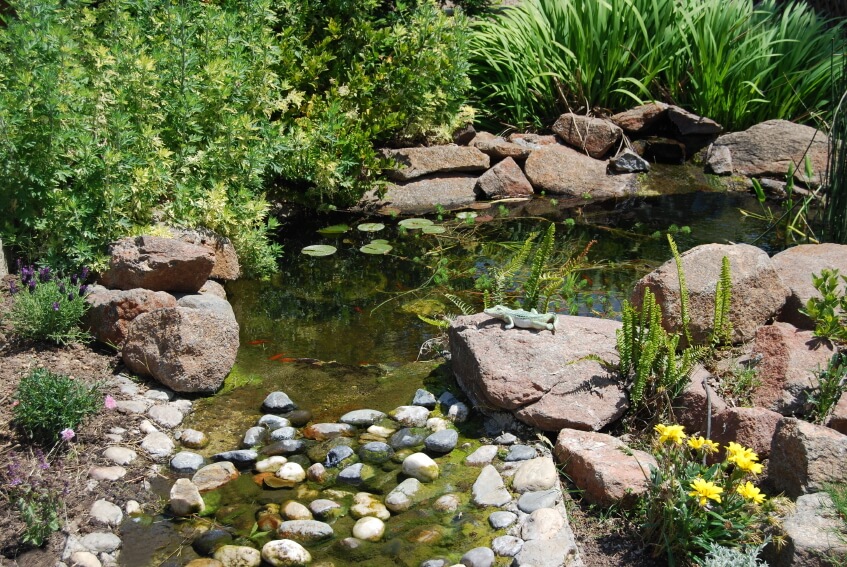 37 Backyard Pond Ideas & Designs (Pictures)