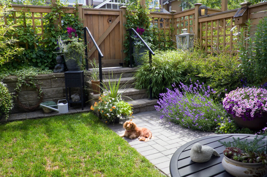 A back garden surrounded by a stone half wall and a trellis-style fence. A barn door leads into a larger garden behind the home via a series of stone steps.