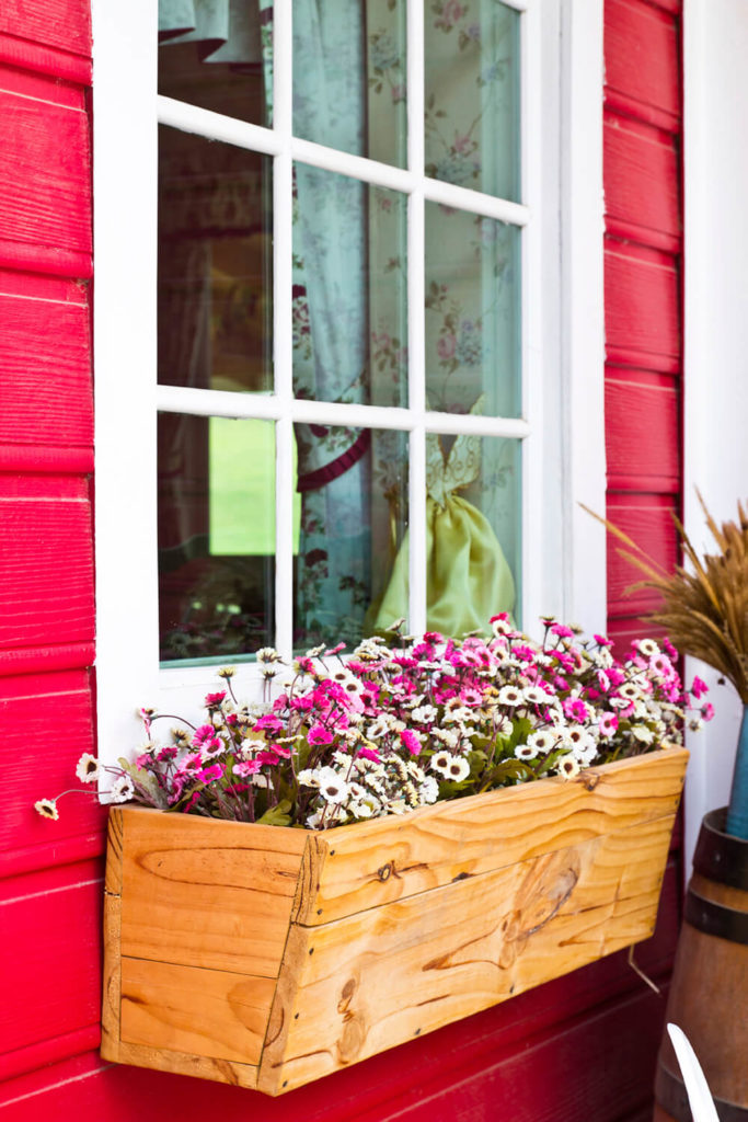An Unfinished Wooden Window Box On The Side Of A Barn Red Building Is Filled An Unfinished Wooden Window Box On The Side Of A Barn Red Building Is Filled