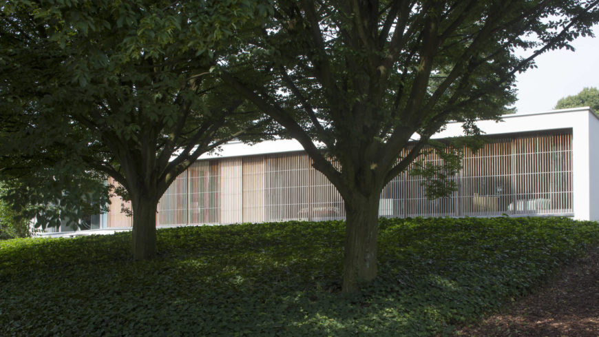 The outside of the home has fantastic landscaping that leads right up to the side of this stylish house. Natural light wood lines the windows of the wall. They adjust to accommodate the residents preferences of privacy in each room. The outside of the home has fantastic landscaping that leads right up to the side of this stylish house. Natural light wood lines the windows of the wall. They adjust to accommodate the residents preferences of privacy in each room.