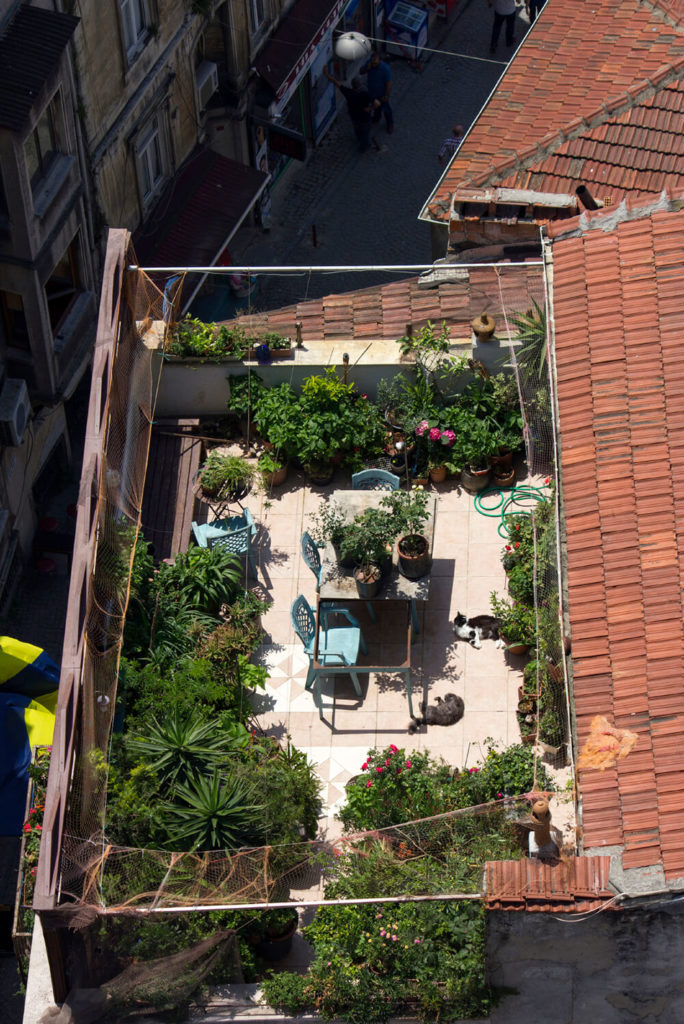 34 Eclectic Rooftop Patios PICTURES)