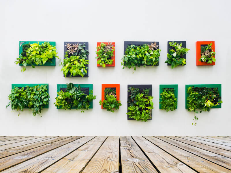 Make you deck an art gallery! These garden frames puncture the idea that art is in the eye of the beholder, for how could anyone deny these works of art? Grouping the various plant species a pleasing and sharp-looking arrangements will spruce up any tepid deck area. Make you deck an art gallery! These garden frames puncture the idea that art is in the eye of the beholder, for how could anyone deny these works of art? Grouping the various plant species a pleasing and sharp-looking arrangements will spruce up any tepid deck area.