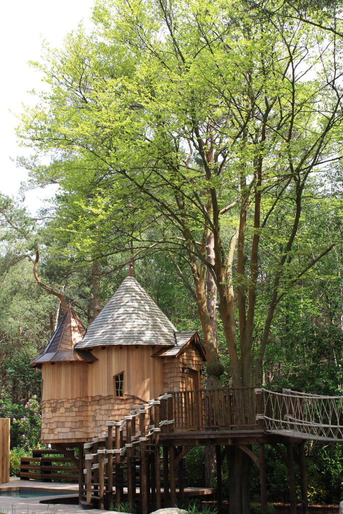 A set of rustic stairs lead up to the deck of one of the treehouses, showing the way the structure is fit into the trees and the proximity to the swimming pool. A set of rustic stairs lead up to the deck of one of the treehouses, showing the way the structure is fit into the trees and the proximity to the swimming pool.
