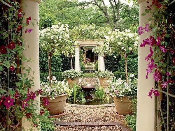 rose trees in portable pots are a great way to add vertical dimension to your garden - Backyard Rose Garden rose trees in portable pots are a great way to add vertical dimension to your garden - Backyard Rose Garden