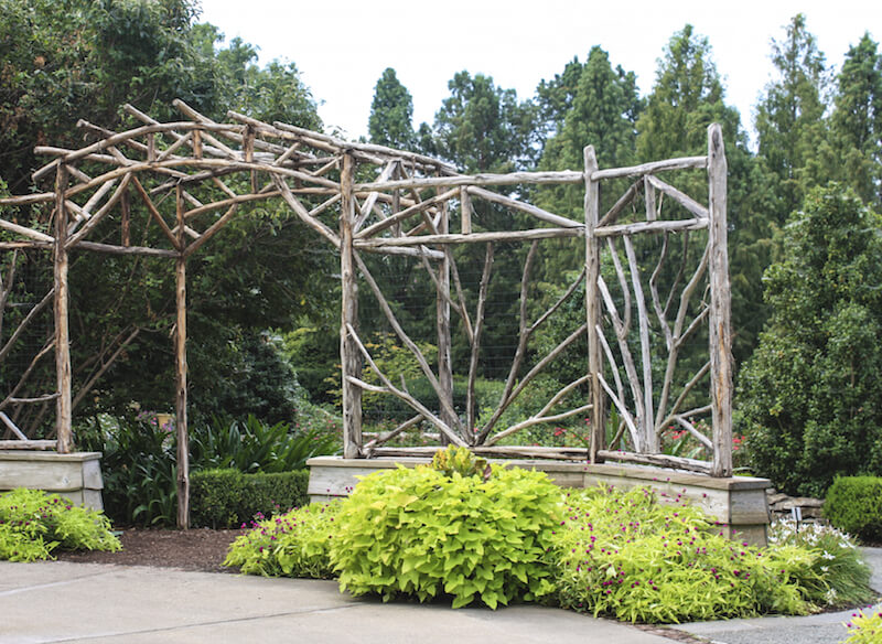 31 Backyard Arbor Designs and Ideas