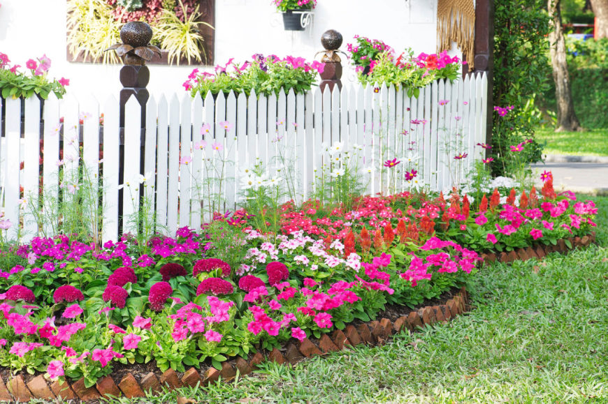 Light pink, magenta, and white flowers are the perfect adornment for a classic white picket fence. Around the bottom of the fence and hanging over the top, flowers can transform a simple picket fence into an amazing draw that can liven up any yard. Light pink, magenta, and white flowers are the perfect adornment for a classic white picket fence. Around the bottom of the fence and hanging over the top, flowers can transform a simple picket fence into an amazing draw that can liven up any yard.