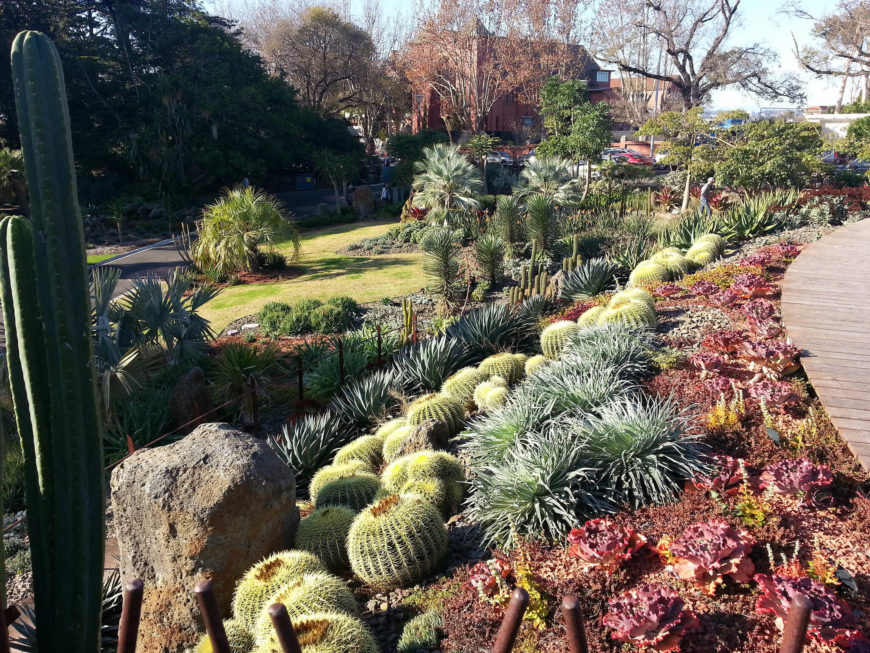 34 sharp cactus garden ideas 34 sharp cactus garden ideas