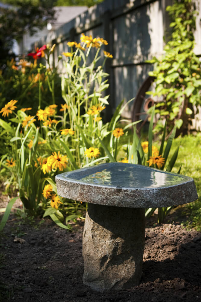 46 Splashy Bird Baths