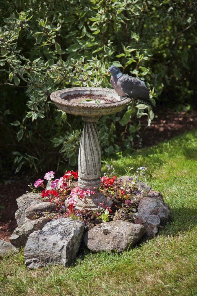 46 Splashy Bird Baths Home Stratosphere