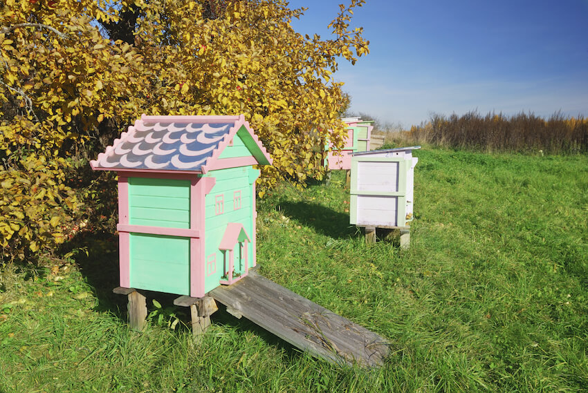 29 Beautiful Backyard Bee Hives Home Stratosphere