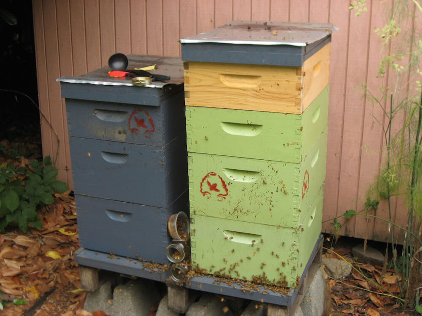 29 Beautiful Backyard Bee Hives Home Stratosphere