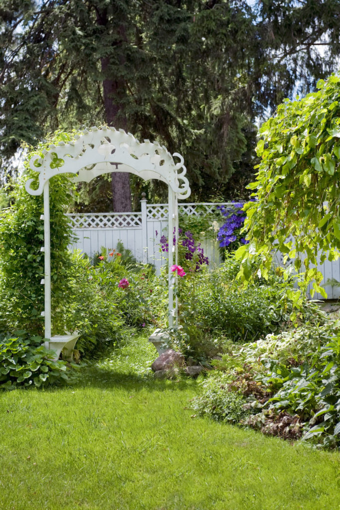 28 Luscious Backyard Vine Ideas