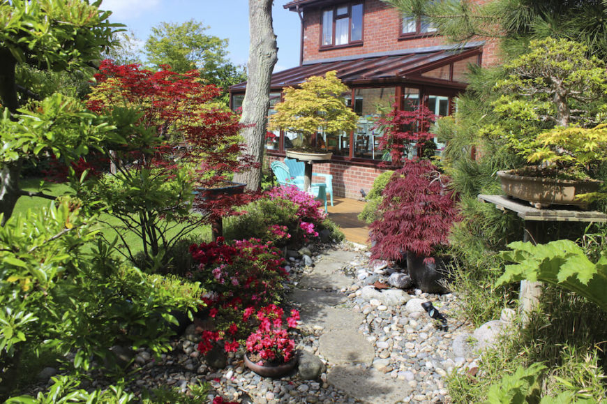 32 Brilliant Backyard Tree Ideas - Home Stratosphere