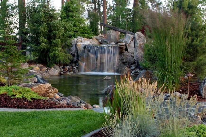 40 Remarkable Backyard Grass Ideas